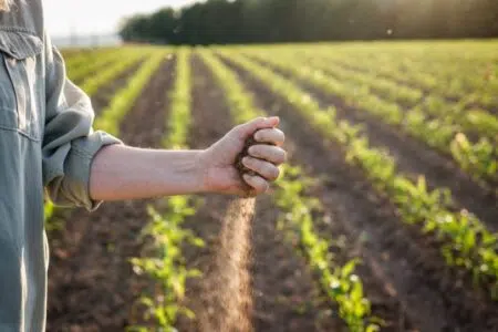 Rischio siccità anche nel 2023, la Regione Toscana al lavoro per prevenire le criticità Siccità agricoltura