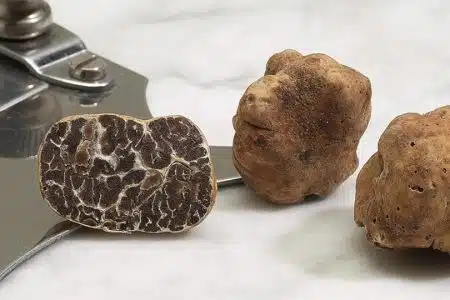 Con il Tartufo Marzuolo inizia la stagione dedicata ai tartufi delle Crete Senesi