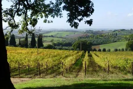 Orcia Wine Festival, svelato il programma dalla dodicesima edizione