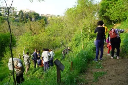 Torna il BioBlitz Siena dopo il successo dello scorso anno