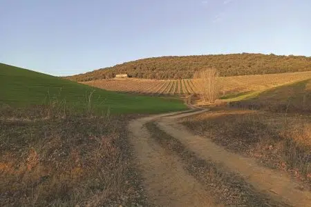 Trequanda, domenica 30 aprile trekking e presentazione della guida ai borghi