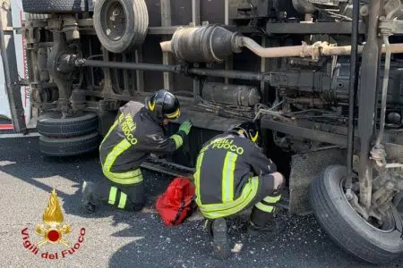 Mezzo di trasporto cavalli si ribalta: tre animali feriti