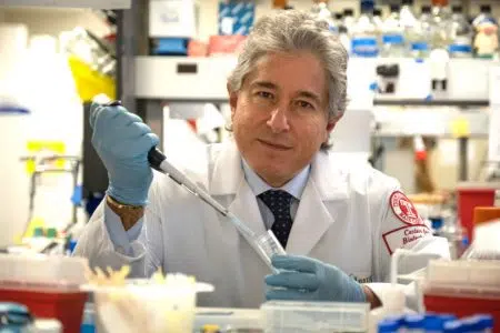 Antonio Giordano nel Comitato scientifico nazionale della LILT Antonio Giordano in laboratorio