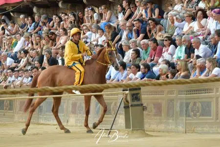 Palio di Siena del 2 luglio 2023: la provaccia all’Aquila