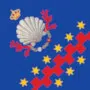 Bandiera Contrada del Nicchio