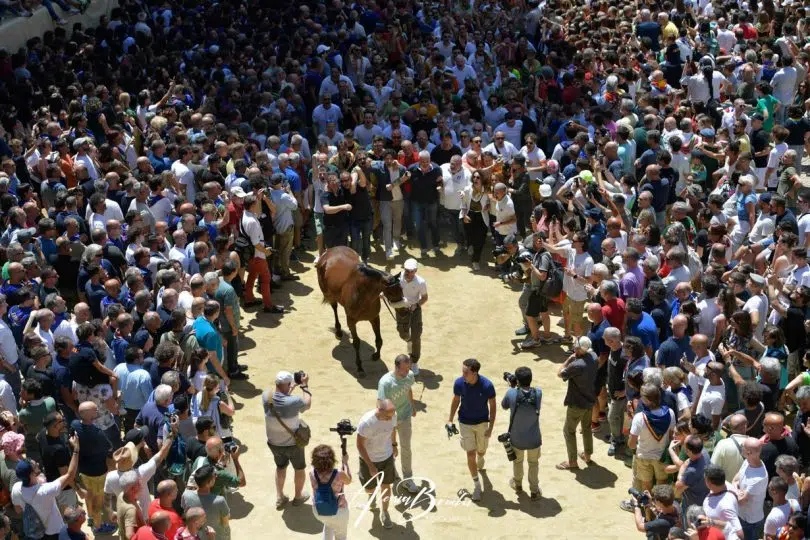 assegnazione-palio-luglio-2023-07