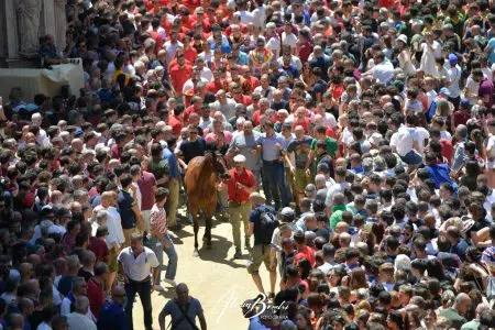 Palio di Siena del 2 luglio 2023: la prima prova alla Chiocciola