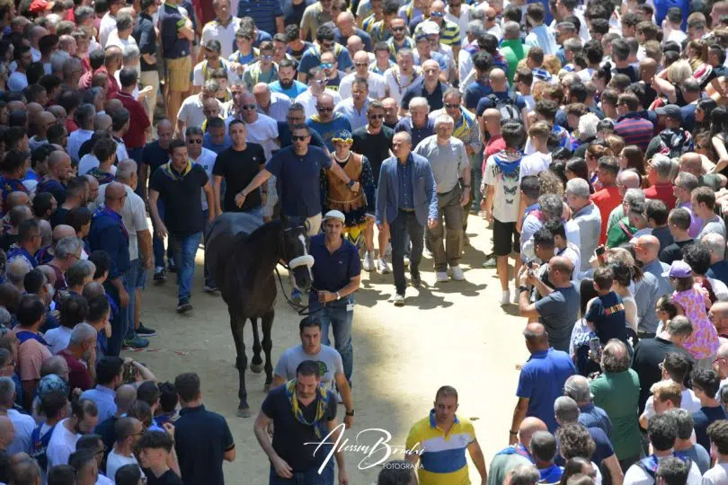 assegnazione-palio-luglio-2023-09