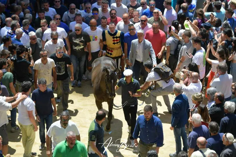 assegnazione-palio-luglio-2023-11