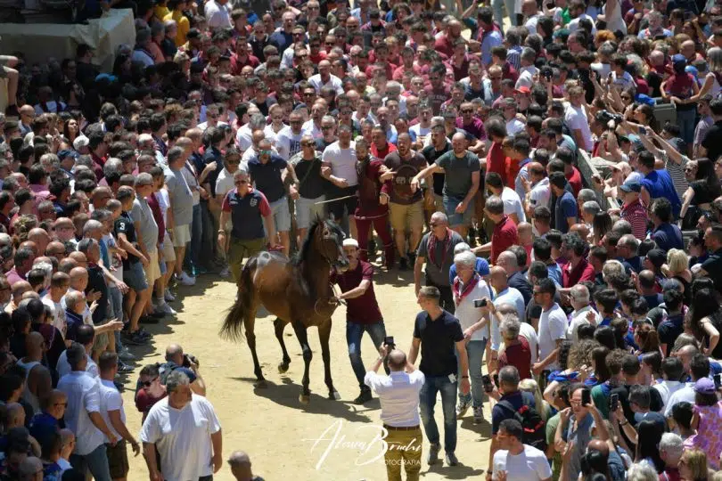 assegnazione-palio-luglio-2023-12