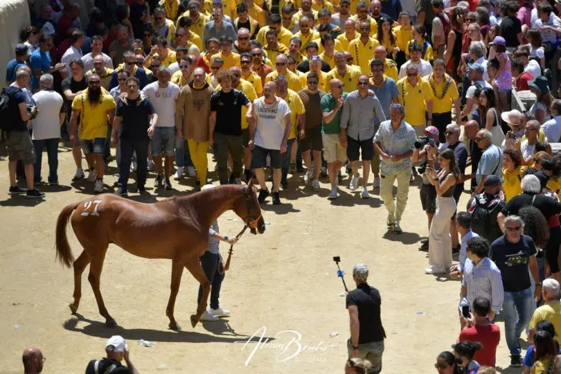 assegnazione-palio-luglio-2023-14