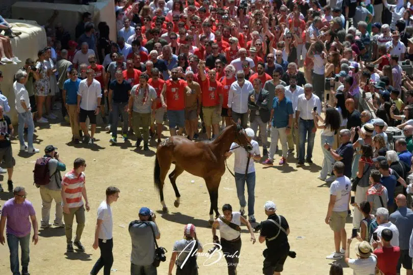 assegnazione-palio-luglio-2023-15