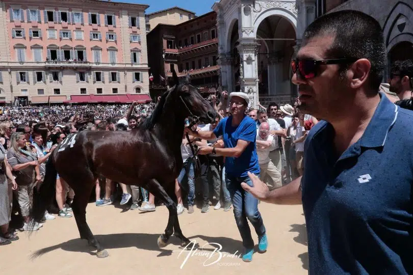 assegnazione-palio-luglio-2023-16