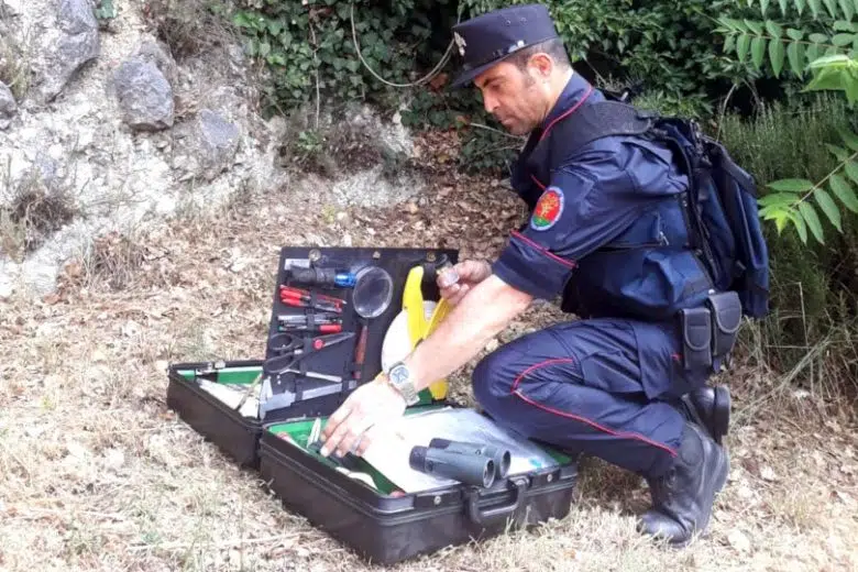 Indagine incendi boschivi dei Carabinieri Forestali