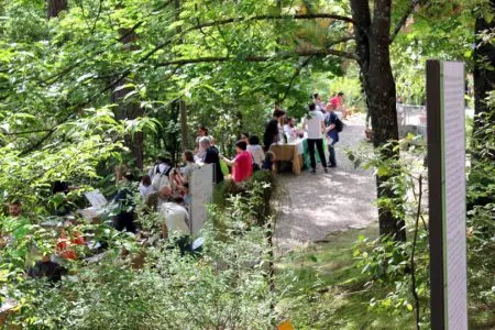Torna la Festa dei Musei all’Orto Botanico di Siena Festa dei Musei, Orto Botanico