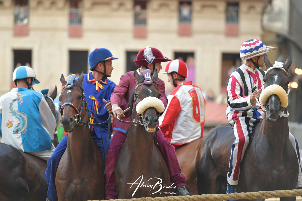 Evento speciale Corsa dei cavalli del Palio di Siena da Firenze (2026) - con recensioni