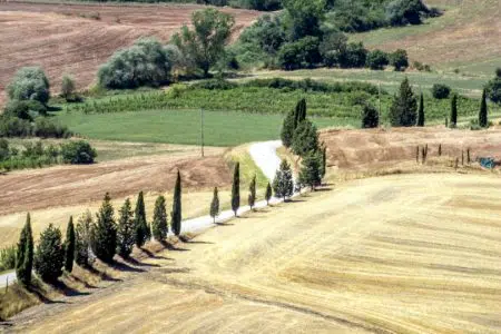 Fondazione Siena Food Lab, bando per aziende agricole Campagna senese