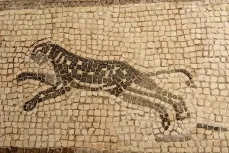 Inaugurazione mosaico della Violella nel Museo Nazionale Etrusco di Chiusi Chiusi: mosaico della Violella. pantera
