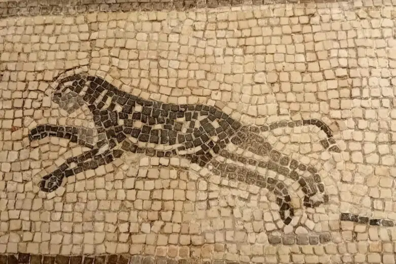 Chiusi: mosaico della Violella. pantera