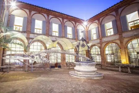 Toscana, 1 milione e 300 mila euro per musei ed ecomusei di rilevanza regionale La corte dell'Accademia dei Fisiocritici di Siena