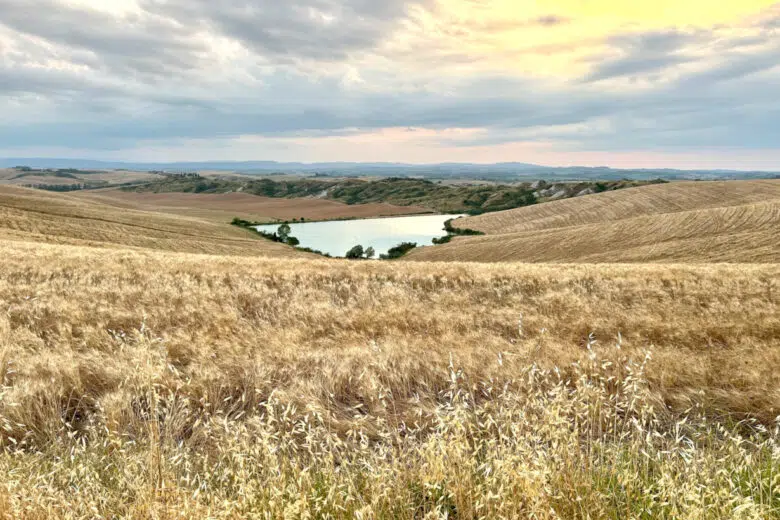 “Piano Tribute to Ennio Morricone” chiude l’Asciano Suono Festival Crete Senesi ad Asciano