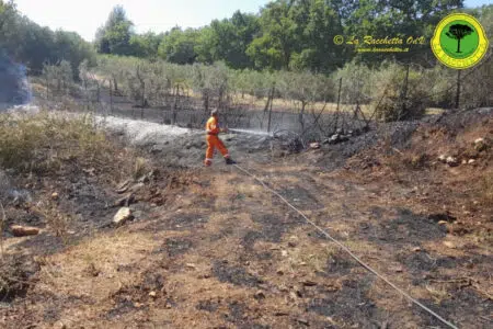 Incendio di sterpaglie a Monteriggioni in località Giardino-Santa Colomba Volontari de La Racchetta domano fiamme incendio