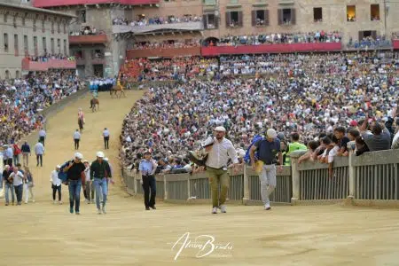 Ordinanza per il corretto svolgimento del Palio del 2 luglio 2024 Prova generale Palio 2 luglio 2023