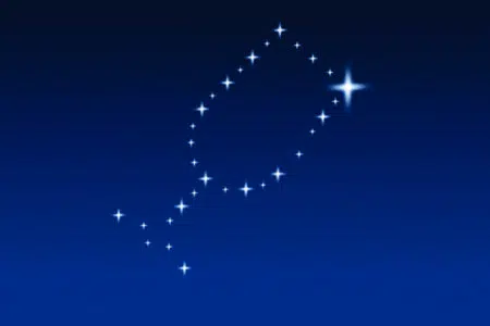Calici di Stelle a Castelnuovo Berardenga Calici di Stelle
