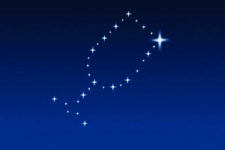 Calici di Stelle a Castelnuovo Berardenga Calici di Stelle