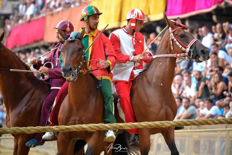 palio-agosto-2023-05