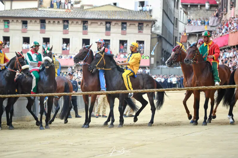 palio-agosto-2023-06