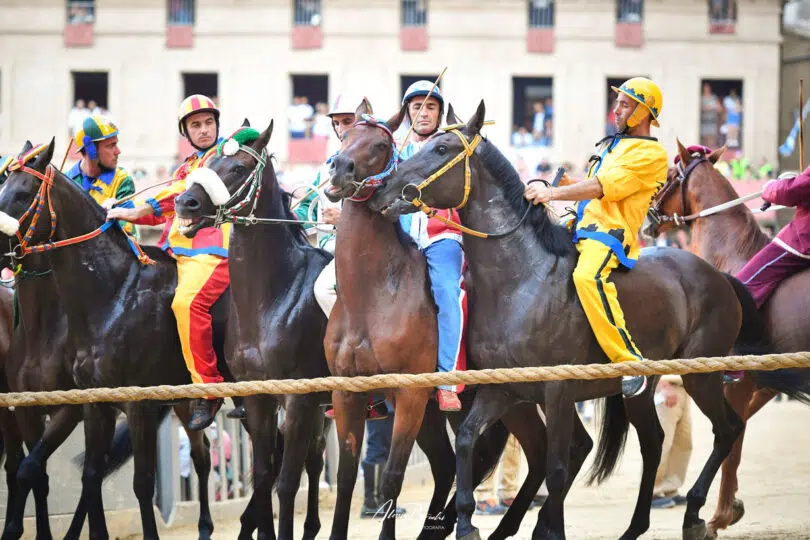 palio-agosto-2023-07