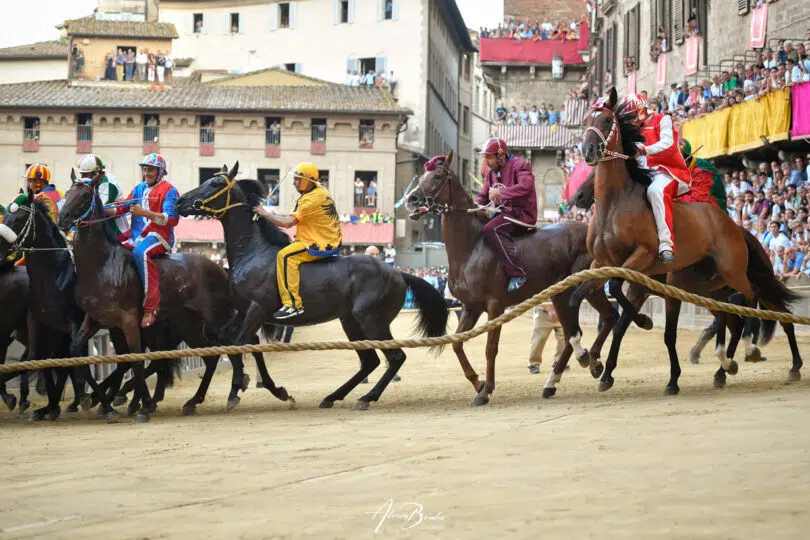 palio-agosto-2023-11
