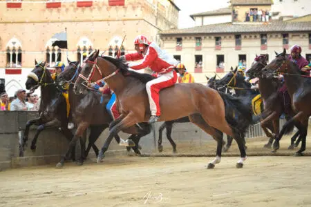 Palio di Siena del 16 agosto 2023: firmate le proposte di sanzione Palio di Siena del 16 agosto 2023, mossa