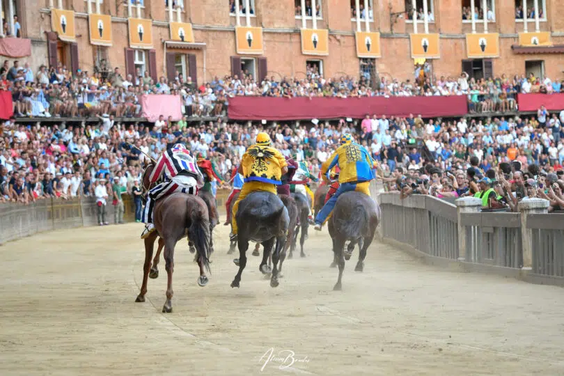 palio-agosto-2023-14