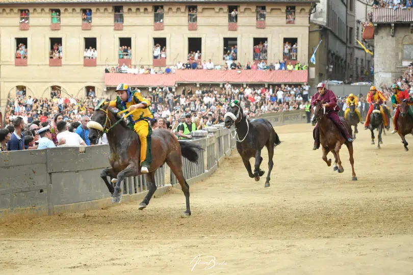 palio-agosto-2023-17