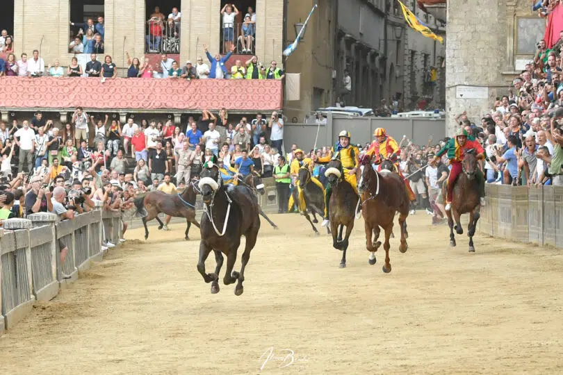 palio-agosto-2023-18