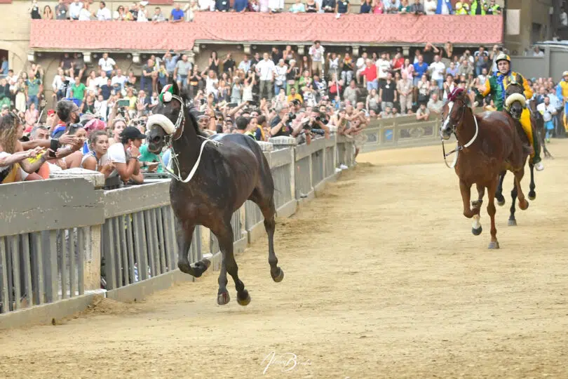 palio-agosto-2023-19