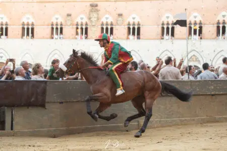Palio di Siena del 16 agosto 2023: il Drago vince la Prova generale Palio 16 agosto 2023, il Drago vince la Prova generale