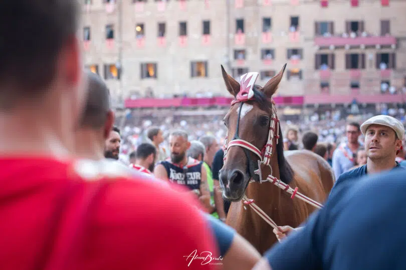 palio-agosto-2023-corteo-prova-generale 25