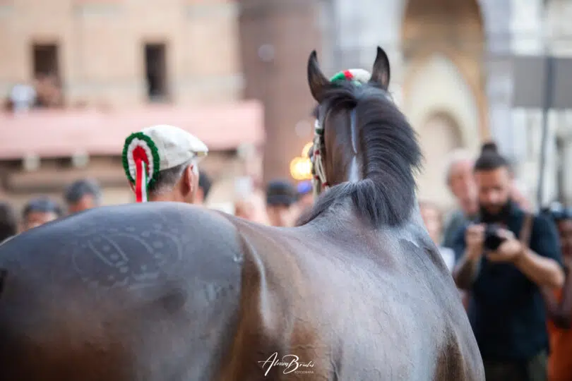 palio-agosto-2023-corteo-prova-generale 28