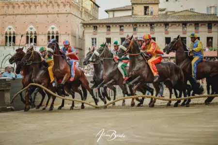 La prima prova del Palio di Siena del 16 agosto 2023 – FOTO Palio di Siena del 16 agosto 2023, prima prova, mossa