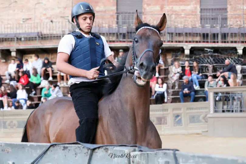 palio-agosto-2023-prove-di-notte-1-05