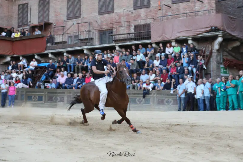 palio-agosto-2023-prove-di-notte-1-12
