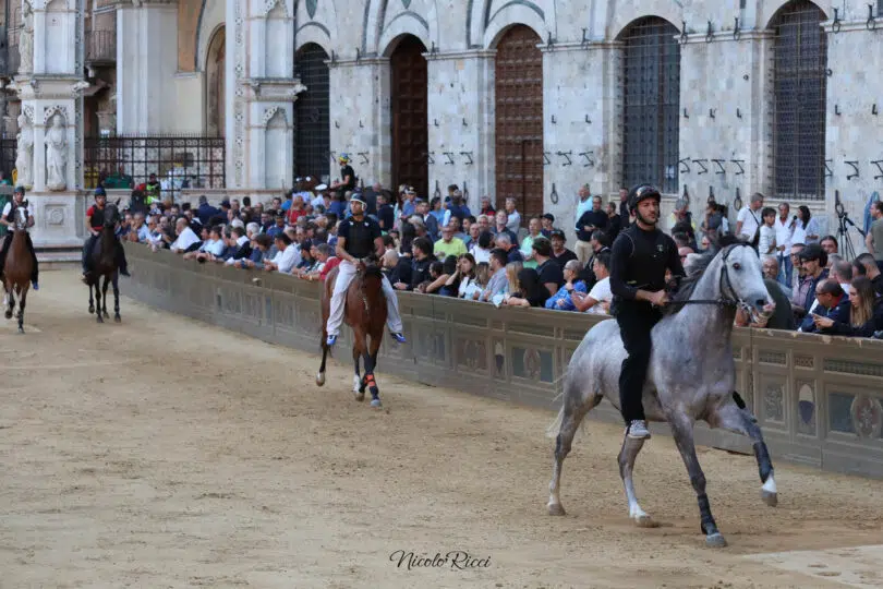 palio-agosto-2023-prove-di-notte-1-14
