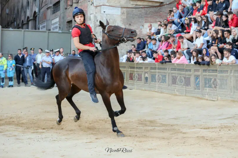 palio-agosto-2023-prove-di-notte-1-15