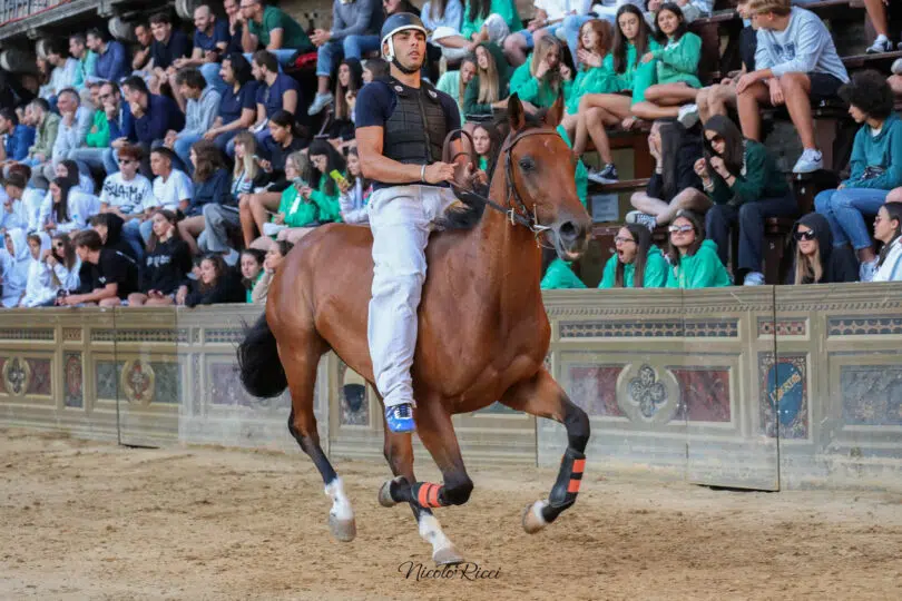 palio-agosto-2023-prove-di-notte-1-16