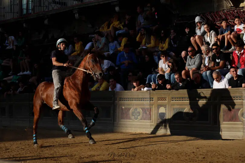 palio-agosto-2023-prove-di-notte-1-17