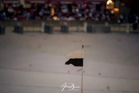 Palio di Siena del 16 agosto 2023: seconda giornata delle prove di notte – FOTO