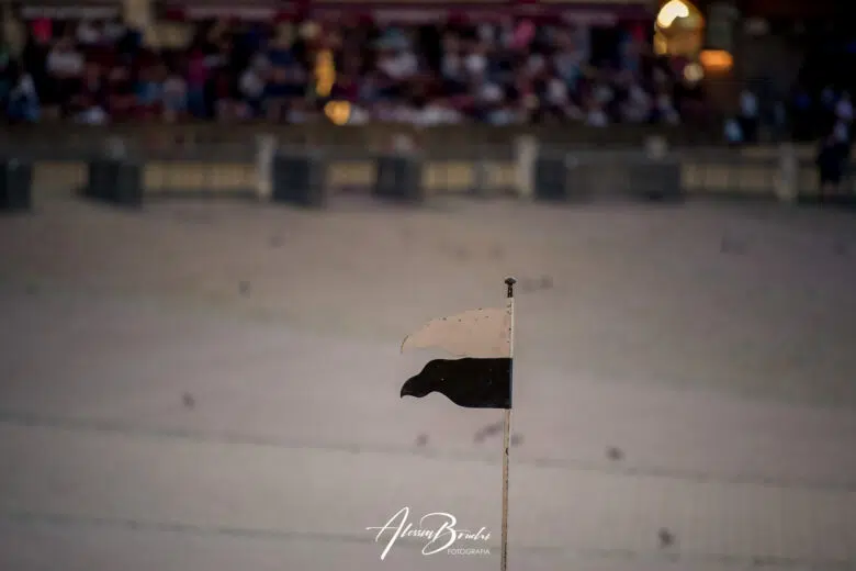 Palio di Siena del 16 agosto 2023: seconda giornata delle prove di notte – FOTO